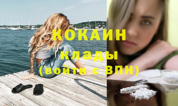 соль ск Алексеевка